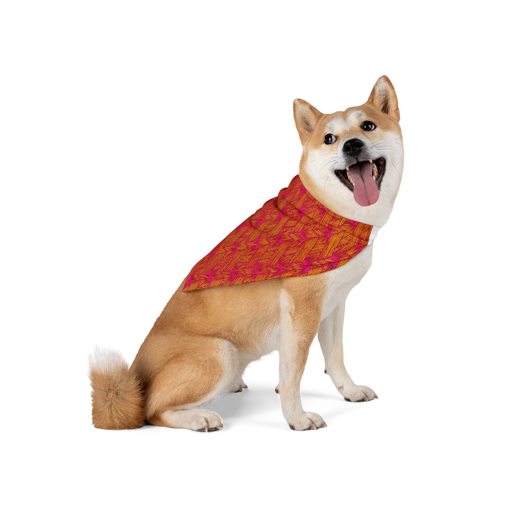 A Shiba Inu proudly displaying the Autumn Herringbone Pet Bandana – Orange & Pink Fall Pattern, showcasing this stylish fall pet bandana for every playful outing.