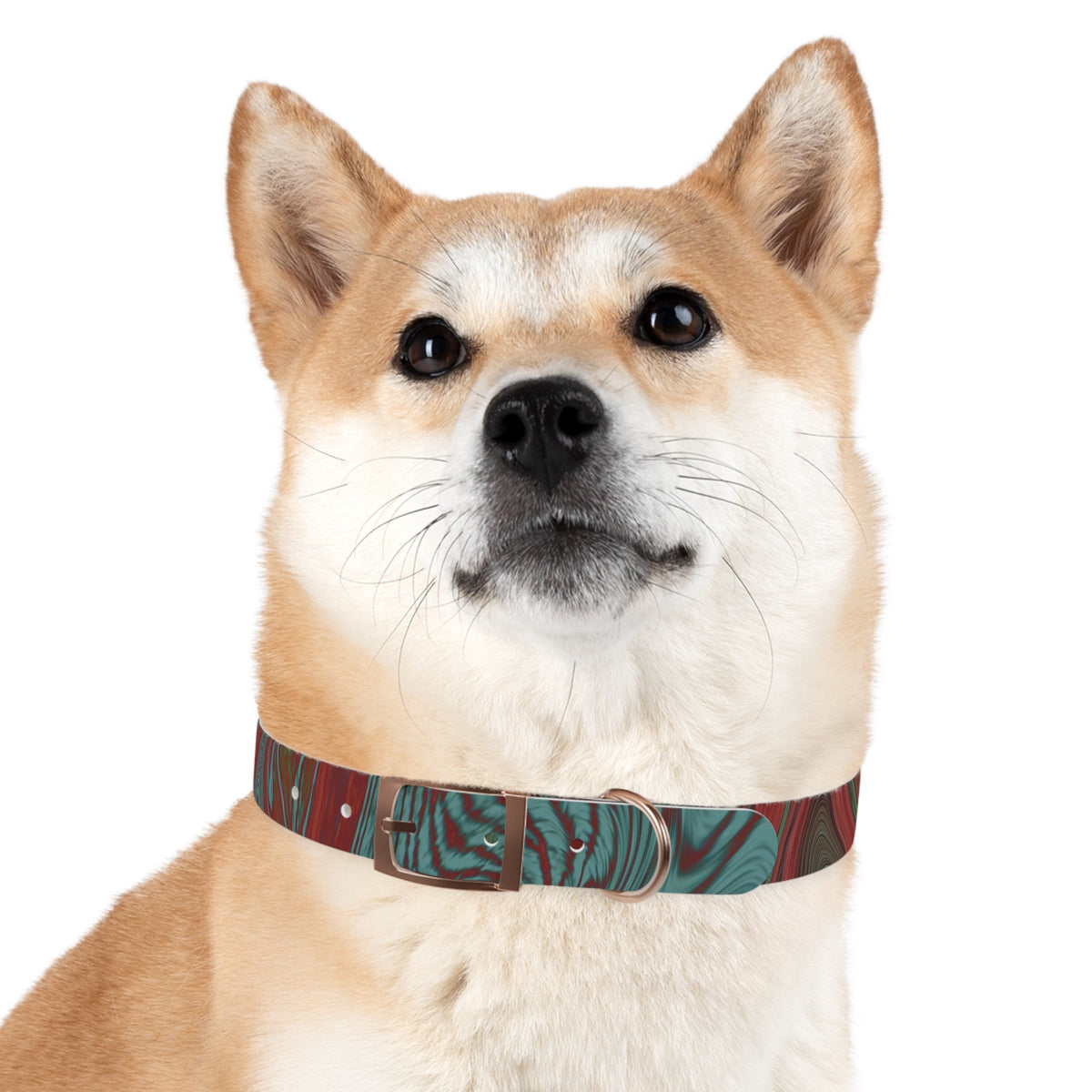 Silver buckle detail on the Marbled Swirl Dog Collar — Red & Teal Abstract Pet Collar, emphasizing its unique hypoallergenic dog collar features.