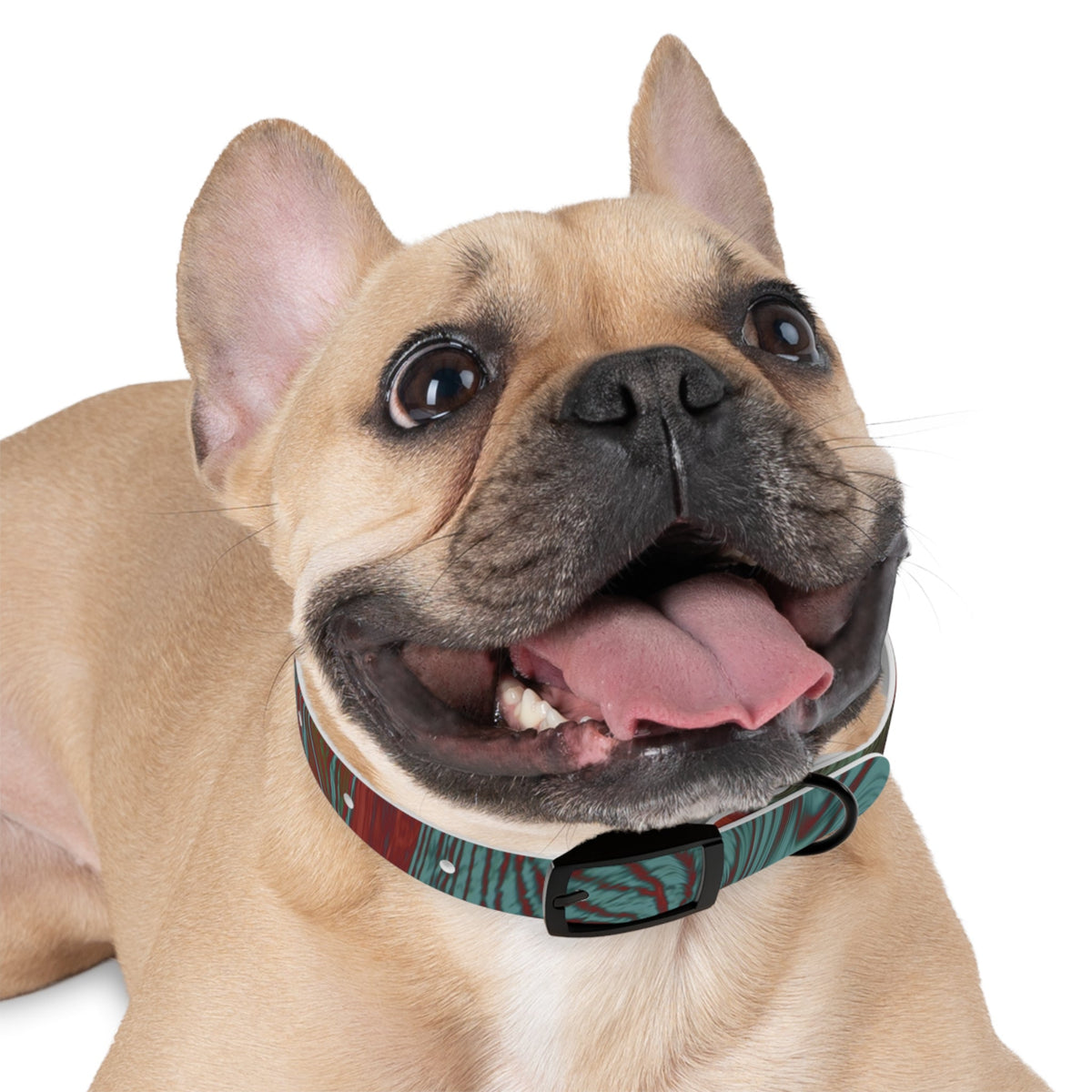 Happy French Bulldog wearing the Marbled Swirl Dog Collar — Red & Teal Abstract Pet Collar, showcasing a stylish and comfortable hypoallergenic dog collar.