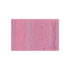 Outdoor Rug