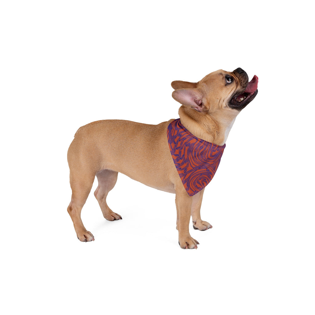 Dog wearing Pet Bandana — Abstract Swirl Purple & Orange Pattern while looking up. This pet bandana for dogs features a fun swirl design in orange and purple, perfect for adding flair to everyday wear or festive occasions like Halloween. A great boho pet wear option for both small dog bandana and large dog bandana, it's a wonderful gift for pets to express their style.