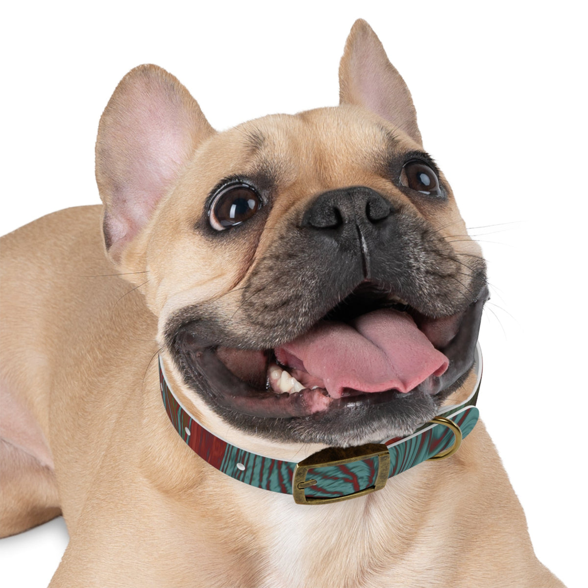 Vintage brass buckle detail of the Marbled Swirl Dog Collar — Red & Teal Abstract Pet Collar, showcasing its style and hypoallergenic dog collar qualities.