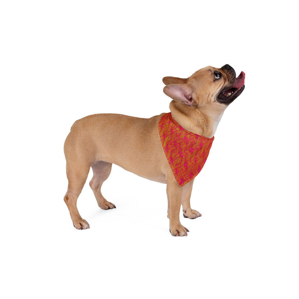 A happy dog wearing the Autumn Herringbone Pet Bandana – Orange & Pink Fall Pattern, a trendy fall pet bandana suitable for outdoor adventures and cozy lounging.