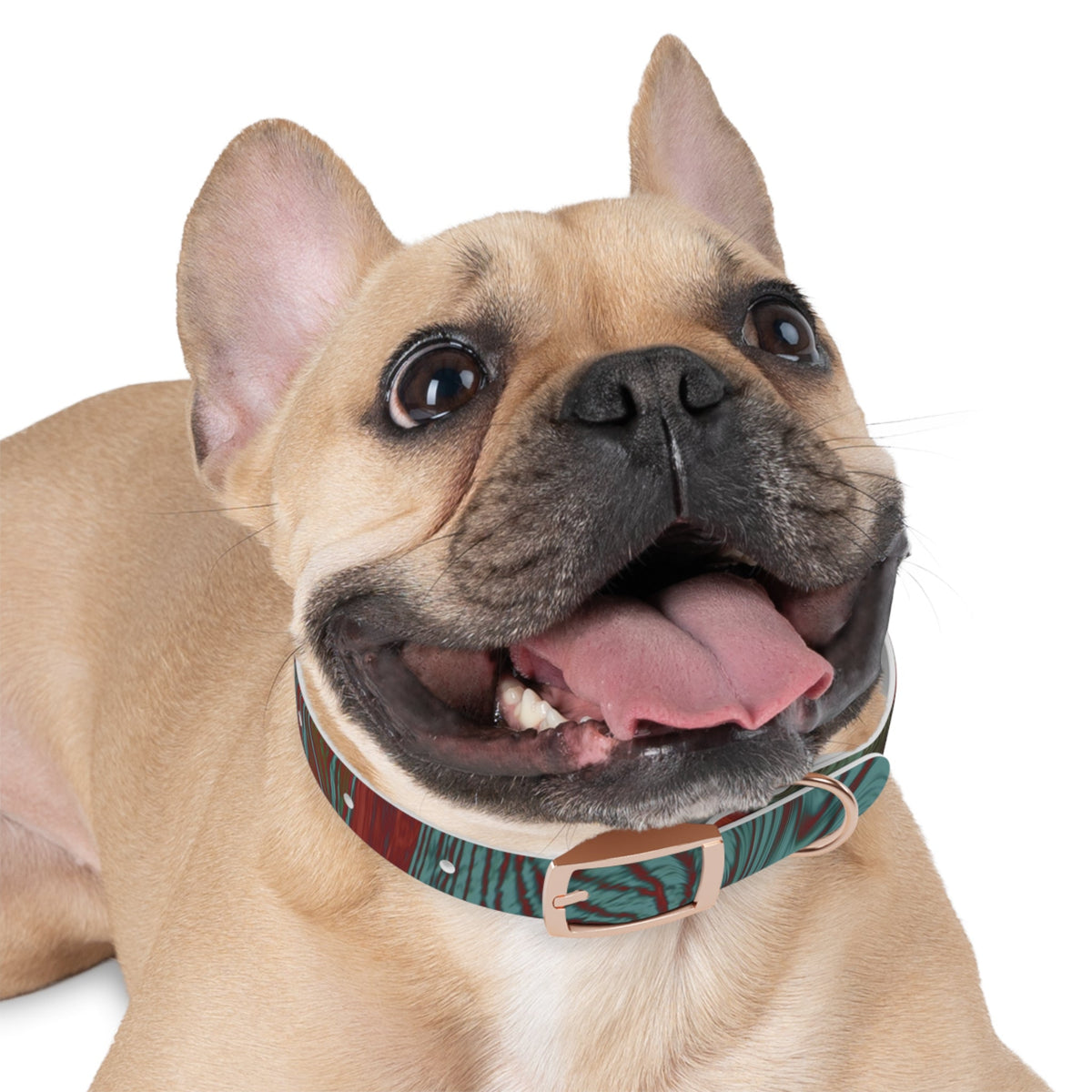 Silver buckle of the Marbled Swirl Dog Collar — Red & Teal Abstract Pet Collar, emphasizing the stylish hypoallergenic dog collar benefits.