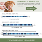 Odor Resistant Dog Collar – Waterproof, Washable, Quick-Dry Durable Collar By Rubyloo, durable odor resistant dog collar for hiking and outdoor adventures