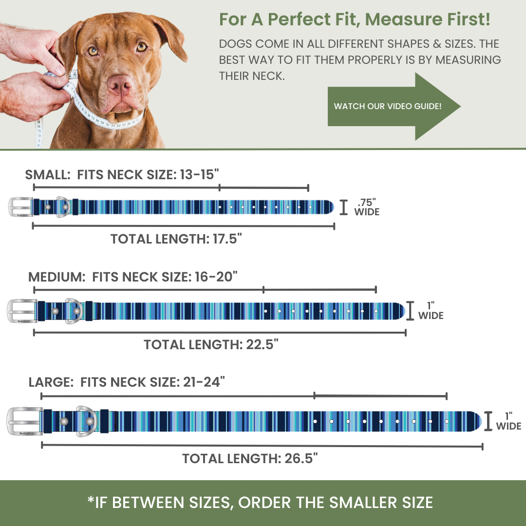 Odor Resistant Dog Collar – Waterproof, Washable, Quick-Dry Durable Collar By Rubyloo, durable odor resistant dog collar for hiking and outdoor adventures