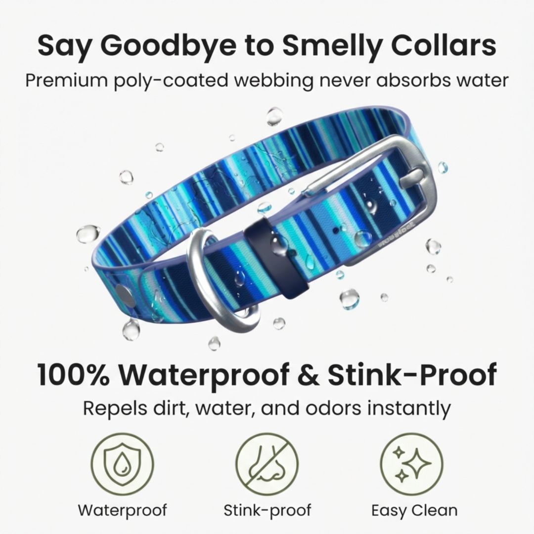 Odor Resistant Dog Collar – Waterproof, Washable, Quick-Dry Durable Collar By Rubyloo, waterproof odor resistant dog collar in durable design