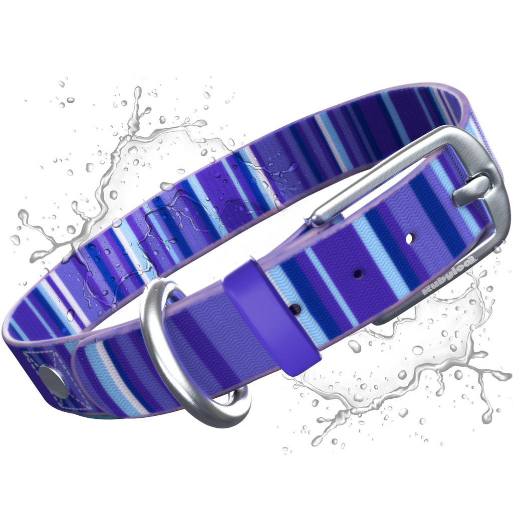 Odor Resistant Dog Collar – Waterproof, Washable, Quick-Dry Durable Collar By Rubyloo, reinforced odor resistant dog collar with dual rivets